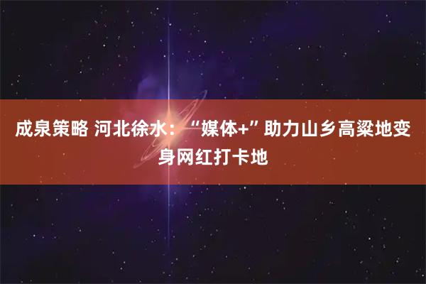 成泉策略 河北徐水：“媒体+”助力山乡高粱地变身网红打卡地