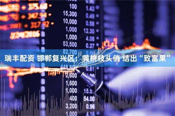 瑞丰配资 邯郸复兴区：黄桃枝头俏 结出“致富果”