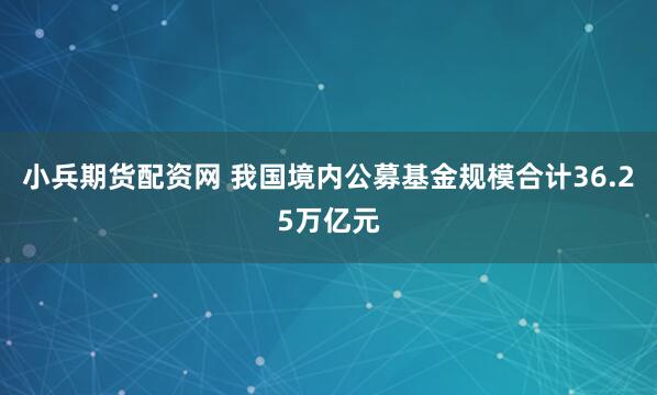 小兵期货配资网 我国境内公募基金规模合计36.25万亿元